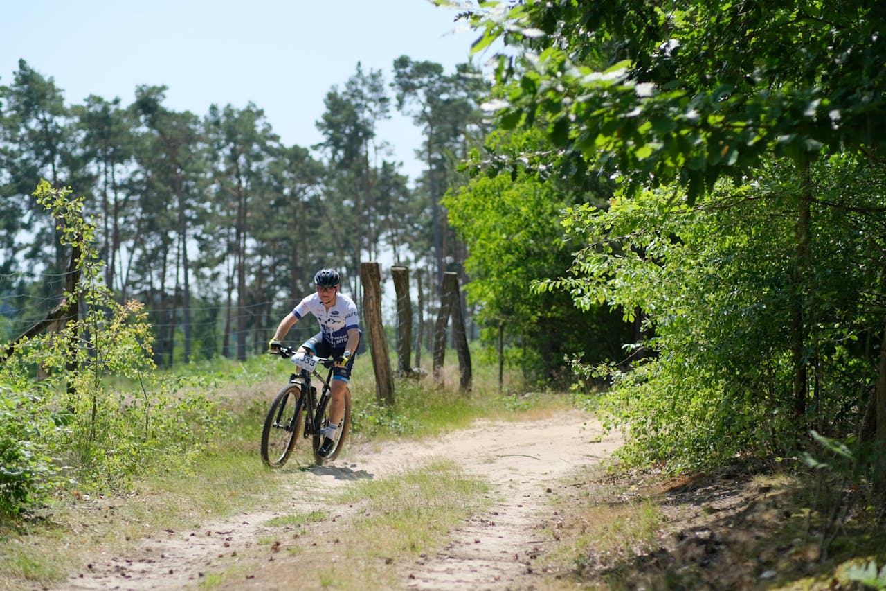 A cyclist rides through a lush forest trail during a sunny day, showcasing active outdoor lifestyle.